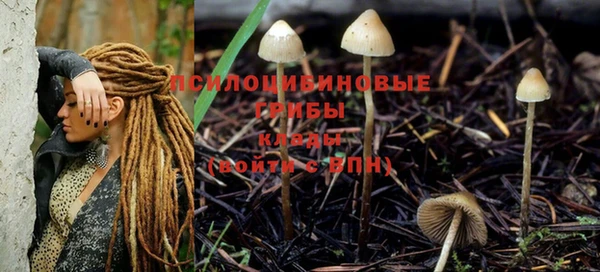 спайс Балабаново